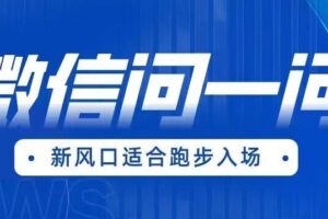 全网首发微信问一问新风口变现项目（价值1999元）【揭秘】