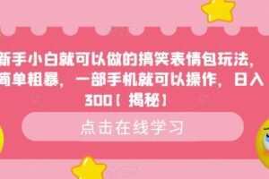 新手小白就可以做的搞笑表情包玩法，简单粗暴，一部手机就可以操作，日入300【揭秘】