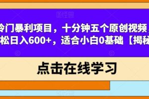 冷门暴利项目，十分钟五个原创视频，轻松日入600+，适合小白0基础【揭秘】