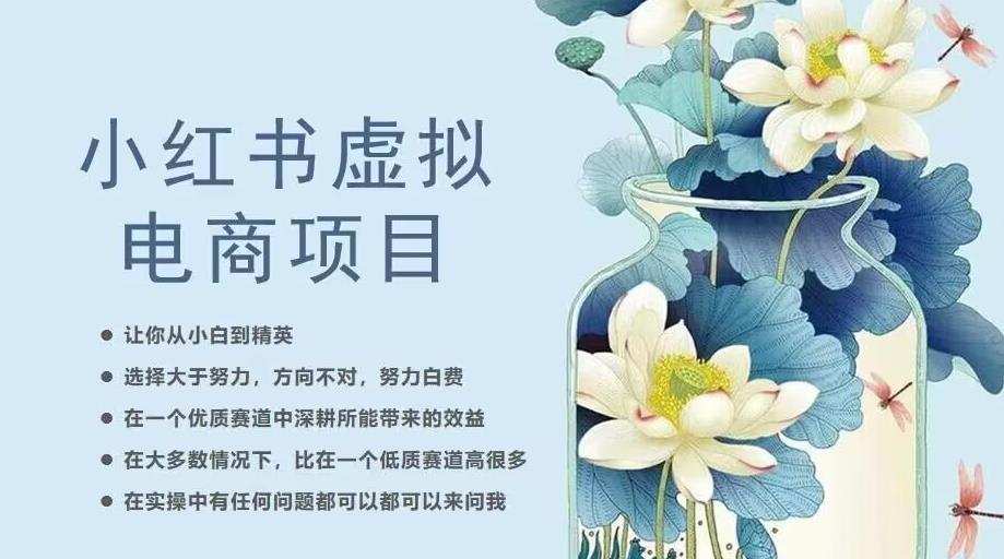 小红书虚拟电商从0到1,让你从小白到精英(20节实操课程)