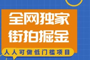 全网独家一街拍掘金，低门槛人人可做的赚钱项目【揭秘】