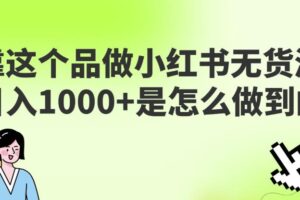 做小红书无货源，靠这个品日入1000是如何做到的？保姆级教学，超级蓝海赛道【揭秘】