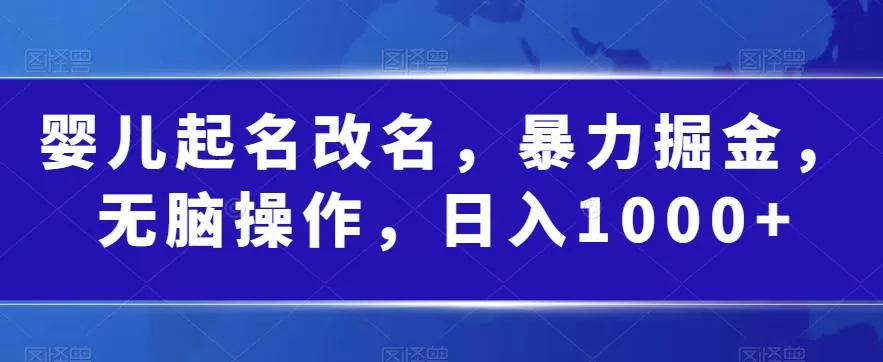 婴儿起名改名，暴力掘金，无脑操作，日入1000+【揭秘】
