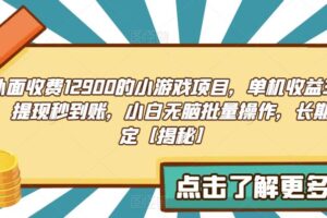 外面收费1290的小游戏项目，单机收益30+，提现秒到账，小白无脑批量操作，长期稳定【揭秘】