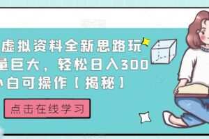 小红书虚拟资料全新思路玩法，流量巨大，轻松日入300+，小白可操作【揭秘】