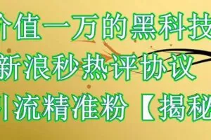 价值一万的黑科技新浪秒热评协议引流精准粉【仅揭秘】