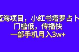 蓝海项目，小红书塔罗占卜，门槛低，传播快，一部手机月入3w+【揭秘】