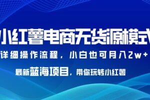 小红薯电商无货源模式，最新蓝海项目，带你玩转小红薯，小白也可月入2w+【揭秘】