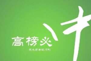 高考数学难点突破