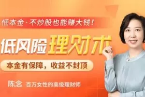 陈念·低风险理财术【无水印】