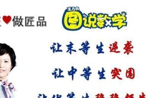 王乃向图说数学，(初级版+中级版+高级版)完整课