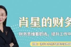 肖星的财务课——财务思维看职场