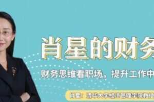 肖星的财务课——财务思维看职场