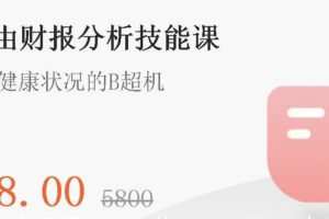 微淼商学院：财务自由财报分析技能课 读懂企业健康状况的B超机