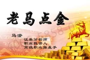 老马点金《期货入门与实战操盘技巧》