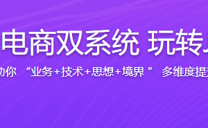 实战支付+电商双系统 玩转Java技术栈