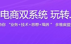 实战支付+电商双系统 玩转Java技术栈