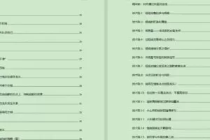 Zarili龙头战法总结贴 1096页PDF文档