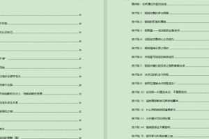 Zarili龙头战法总结贴 1096页PDF文档