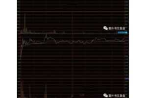 诱多拉升的临盘鉴别方法 PDF文档