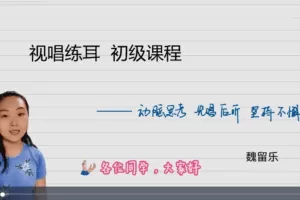 魏留乐视唱练耳初级课程