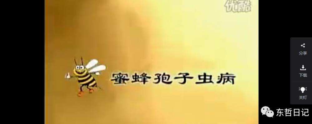 东哲日记:全网首创实物虚拟电商项目,速来捡钱,成本低,一单赚几十块!