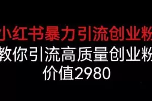 小红书暴力引流创业粉，教你引流高质量创业粉，价值2980【揭秘】