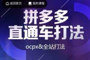 互力·拼多多直通车打法，ocpx&全站打法