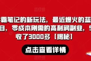 学霸笔记的新玩法，最近爆火的蓝海项目，零成本刚需的高利润副业，5天收了3000多【揭秘】