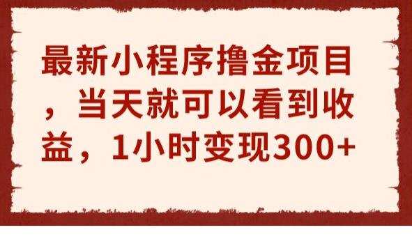最新小程序撸金项目,当天就可以看到收益,1小时变现300+【揭秘】
