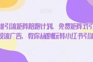 小红书精准引流矩阵陪跑计划，免费矩阵式引流，付费投流广告，教你从0到1玩转小红书引流