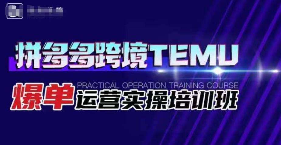 拼多多跨境TEMU爆单运营实操培训班,海外拼多多的选品、运营、爆单