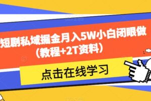 靠短剧私域掘金月入5W小白闭眼做（教程+2T资料）