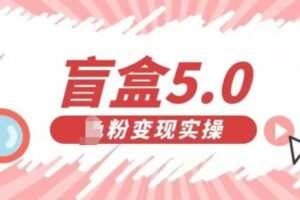 盲盒交友5.0，男粉变现实操项目，亲测变现效果极好【揭秘】