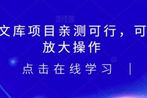 2023小淘AI文库项目，亲测可行，可以批量放大操作