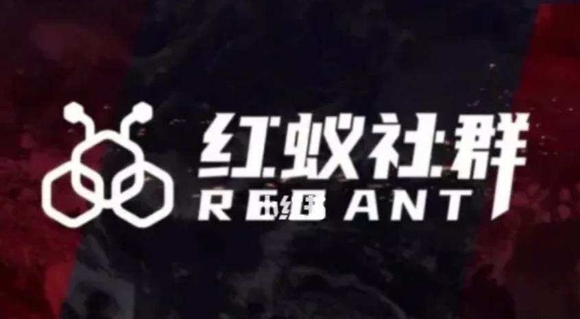 社群运营:红蚁社群【48节落地系统课程+2000人高端社群】