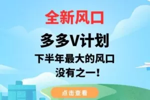 全新风口，多多V计划，下半年最大的风口项目，没有之一【揭秘】