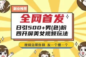 全网首发，日引500+男粉美女视频四开屏玩法，发一个爆一个【揭秘】