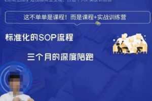 勋哥·短视频变现训练营，解决核心问题，标准化起号流程，以变现为核心