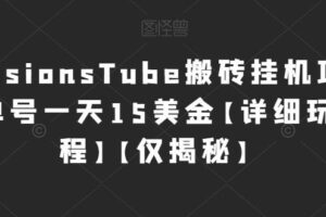 国外VisionsTube搬砖挂机项目，号称单号一天15美金【详细玩法教程】【仅揭秘】