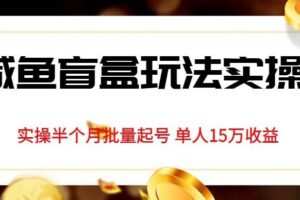 独家首发咸鱼盲盒玩法实操，半个月批量起号单人15万收益【揭秘】