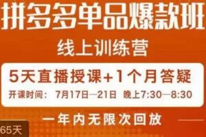 钟辰·拼多多单品爆款班，一个拼多多超级爆款养一个团队