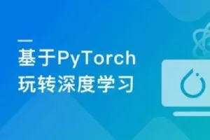 Pytorch框架全流程开发医学影像端到端判别实战项目