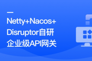 Netty+Nacos+Disruptor自研企业级API网关