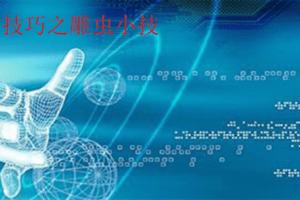IT技术之雕虫小技