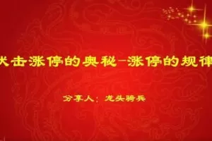 量学云讲堂龙头骑兵单晓禹07期