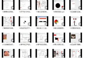 辛圣明第20期南北政脉诊实战录像全集39课