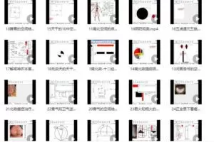 辛圣明第20期南北政脉诊实战录像全集39课