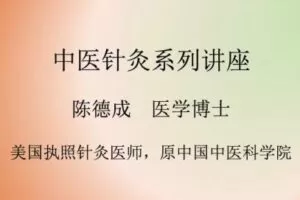 陈德成动筋针疗法全系列课程