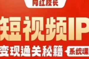 网红校长短视频IP变现通关秘籍｜系统课，产品篇，短视频篇，商业篇，私域篇，直播篇